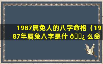 1987属兔人的八字命格（1987年属兔八字是什 🌿 么命 🐯 ）